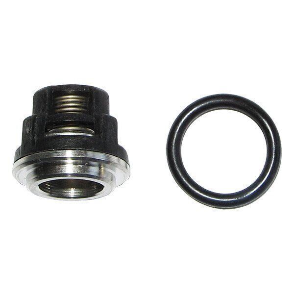 FITS AR 2125 replacement VALVE KIT fits Annovi Reverberi SXMA SXMV