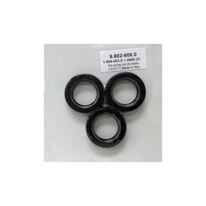 AR Oil Seal Kit