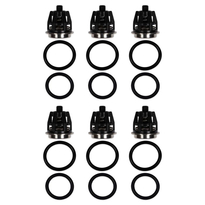 General Pump Kit 1 replacement valve kit – 6 valve assemblies with 12 O-rings (valve and valve-cap)