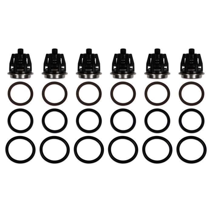 General Pump Kit 201 replacement hi-heat valve kit - all 24 pieces: 6 valves, 6 washers, 6 flat O-rings, 6 round O-rings