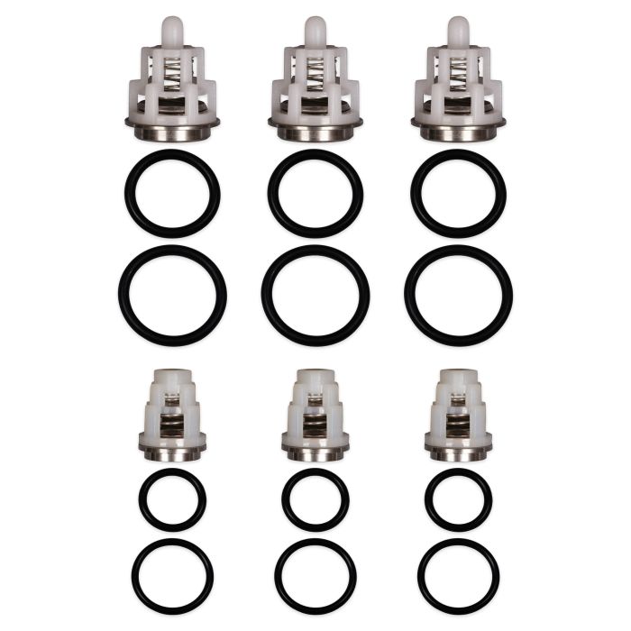 General Pump Kit 269 replacement 6-valve kit - full contents, 6 valves and 12 O-rings