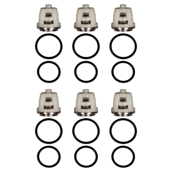 8.754-859.0 / Hawk 1.905-617.0 replacement valve kit – 6 valve assemblies with 12 O-rings