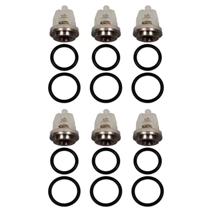 8.753-824.0 replacement complete valve kit (ZX.2077): the full kit as six sets, each a valve with its valve O-ring and cap O-ring