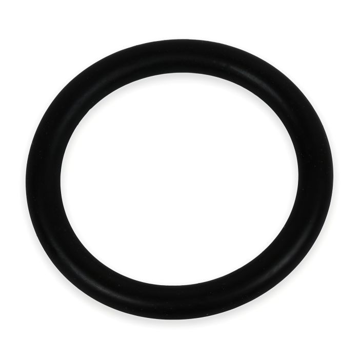 General Pump 701115 Replacement - Check Valve O-Ring (50-Pack)
