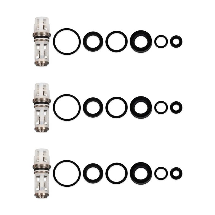 CAT 76975 + 76976 Replacement - Seal & Valve Kit (4DNX Series)