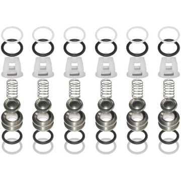 FITS Comet 5025.0021.00 6 Valves Replace VALVE KIT fits TW Pumps, Made in Italy