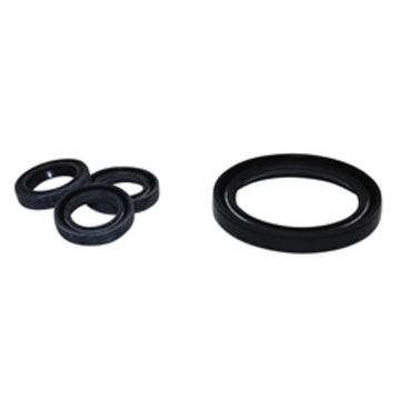 Replaces Annovi Reverberi AR 42474 Kit Oil Seal RCA & RCV Series, Made in Italy