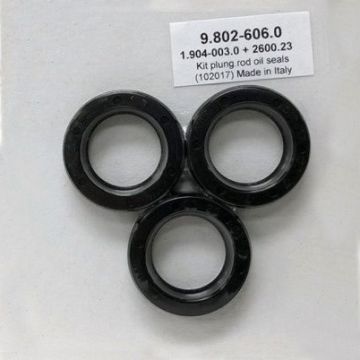 AR Oil Seal Kit