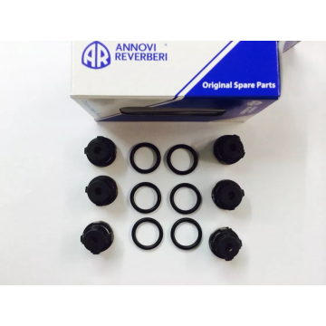 Annovi Reverberi Kit - AR1864-VALVE KIT