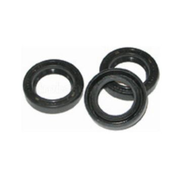 Fits Comet Pump Kit 5019.0065.00 Plunger Oil Seals, Made in Italy