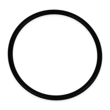 General Pump 90361200 Replacement - Packing Retainer O-Ring (50-Pack)