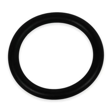 General Pump 701115 Replacement - Check Valve O-Ring (50-Pack)