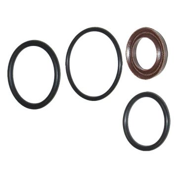 Speck 14.0494 HP Seal Service Set